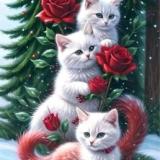 Лепесткина Наталья Александровна